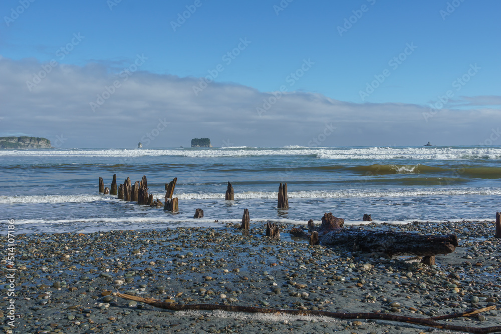 Naklejka premium Typical rugged West Coast beach