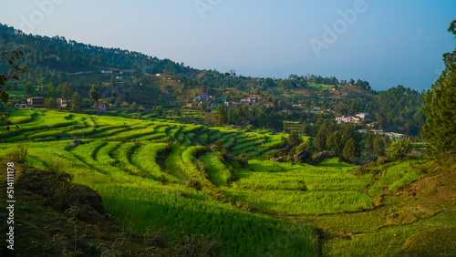 agricultural fields in the countryside of Kausani, Almora, mountain hills valley in Uttarakhand, Ranikhet. Nature Panoroma landscape background.