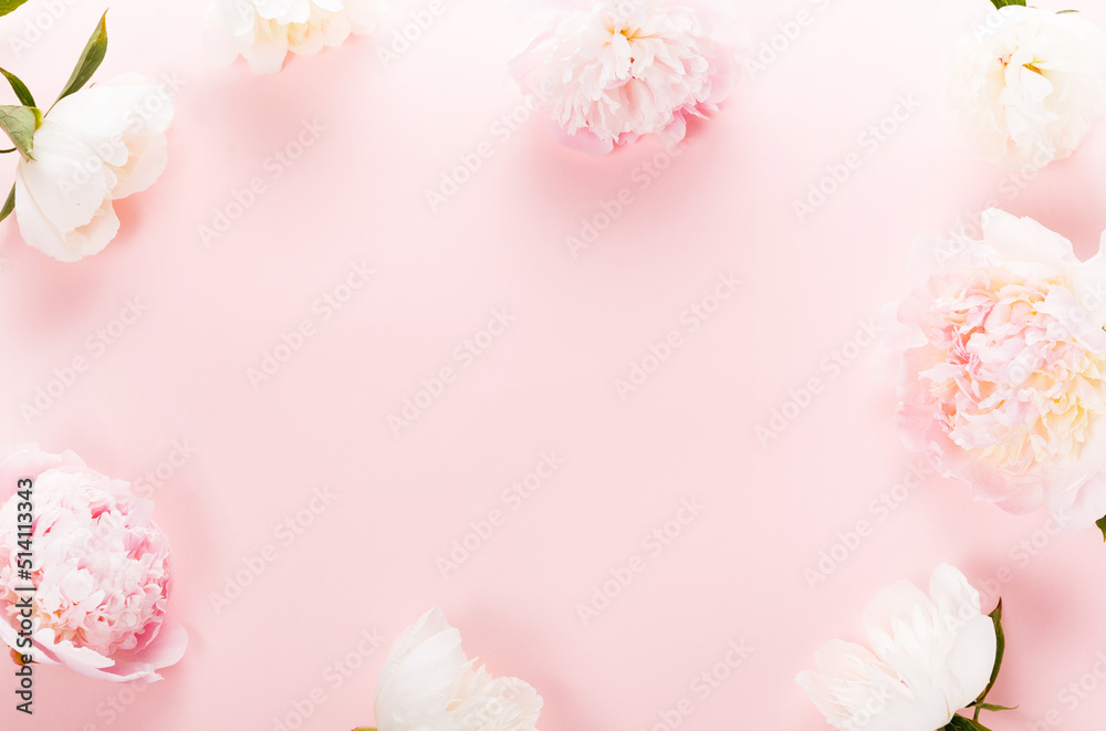 Romantic peony on a pink pastel background