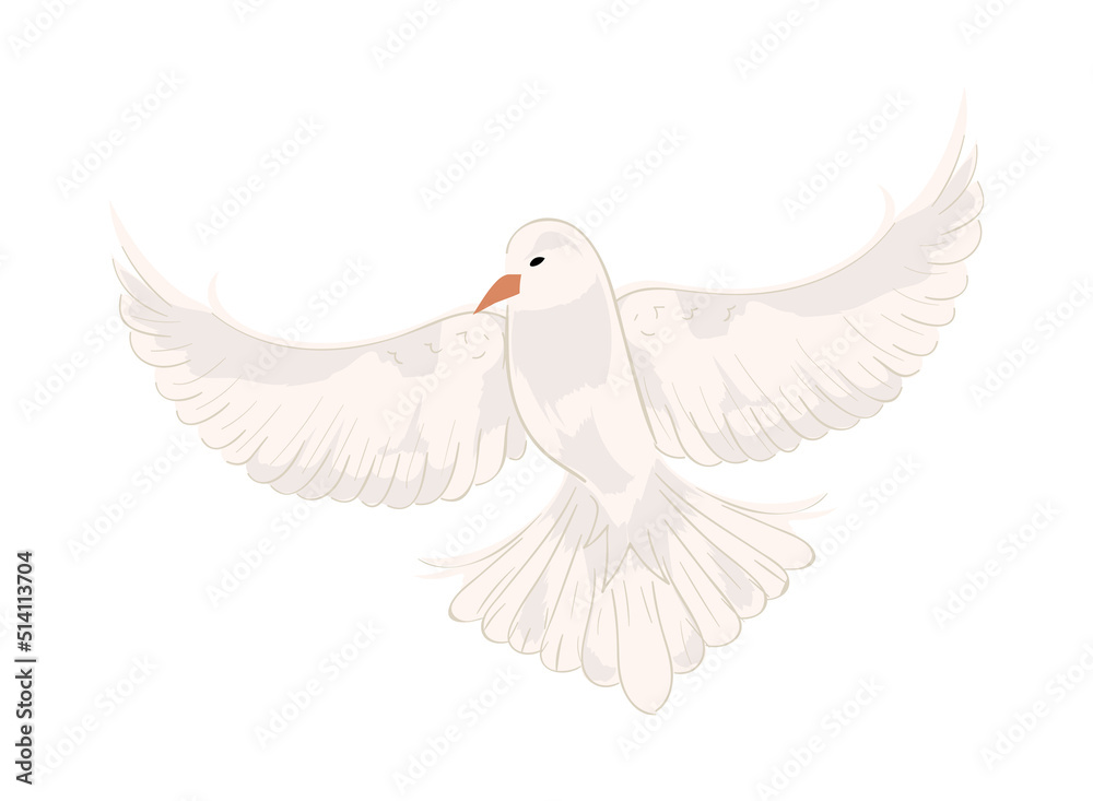 Obraz premium flying pigeon bird