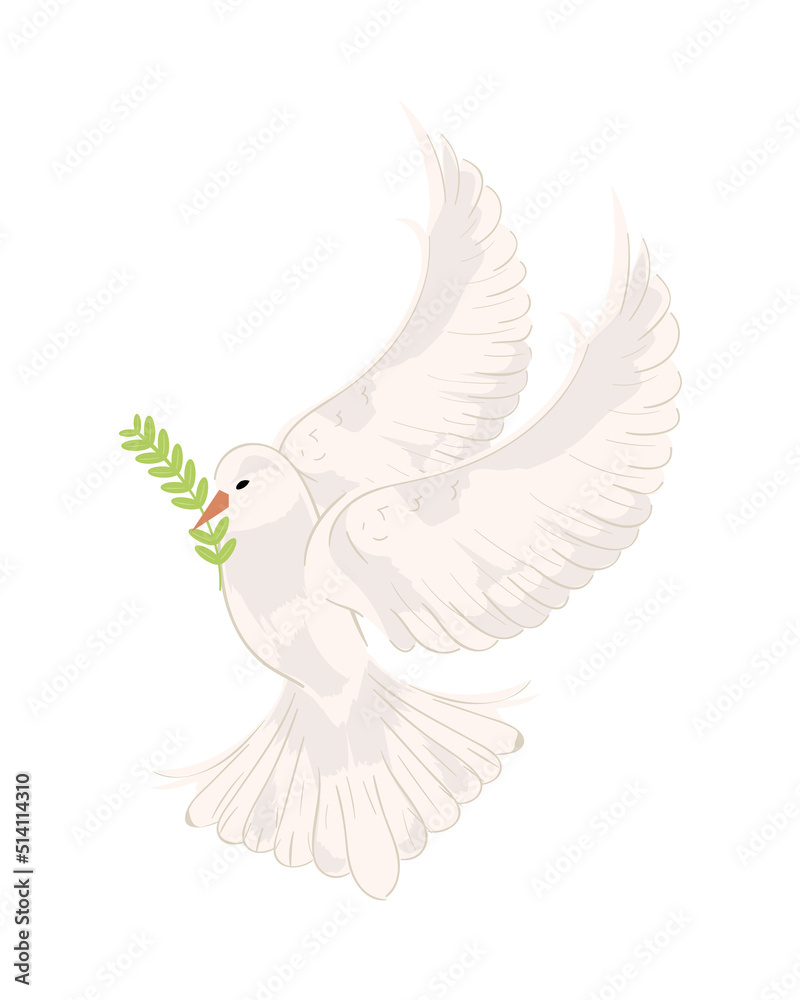Obraz premium peace dove with branch