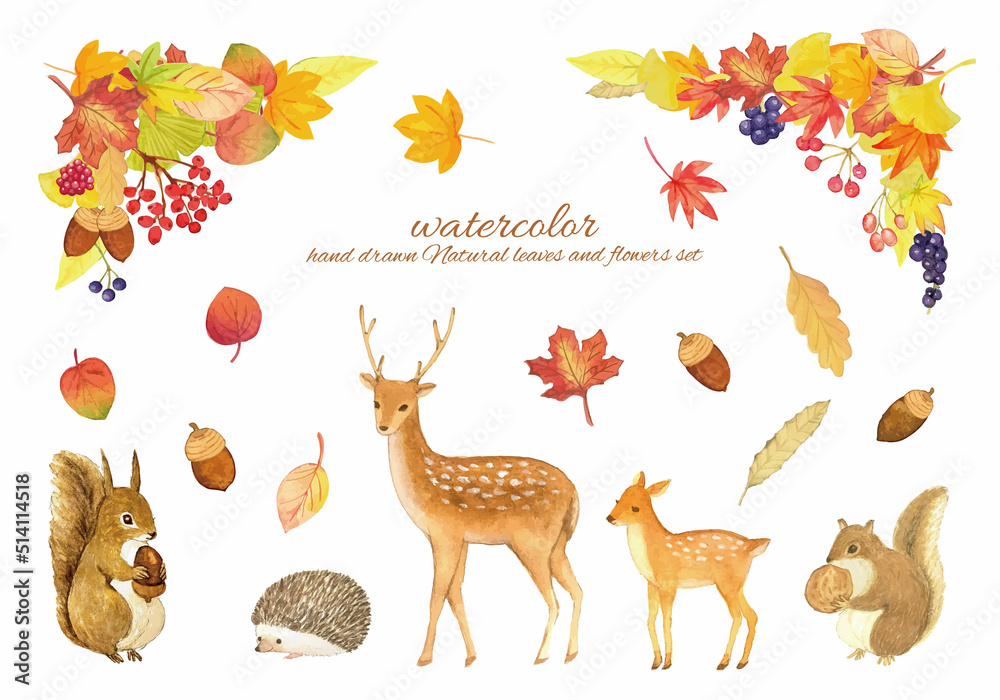 水彩で描いた落ち葉や木の実と動物の素材セット