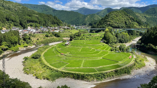 Fototapeta 和歌山県 あらぎ島