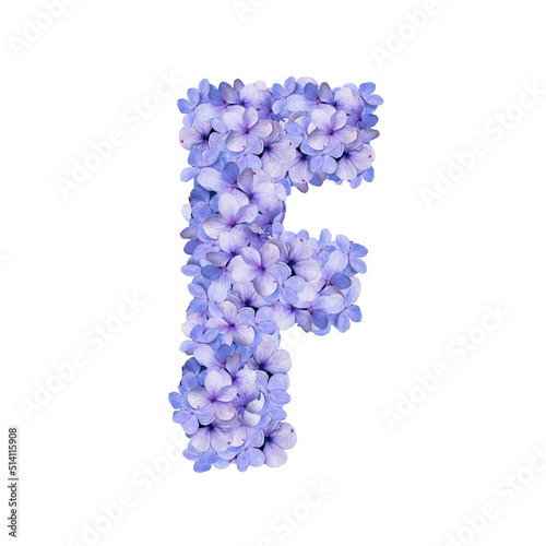 Floral Alphabet F hydrangea blossom 