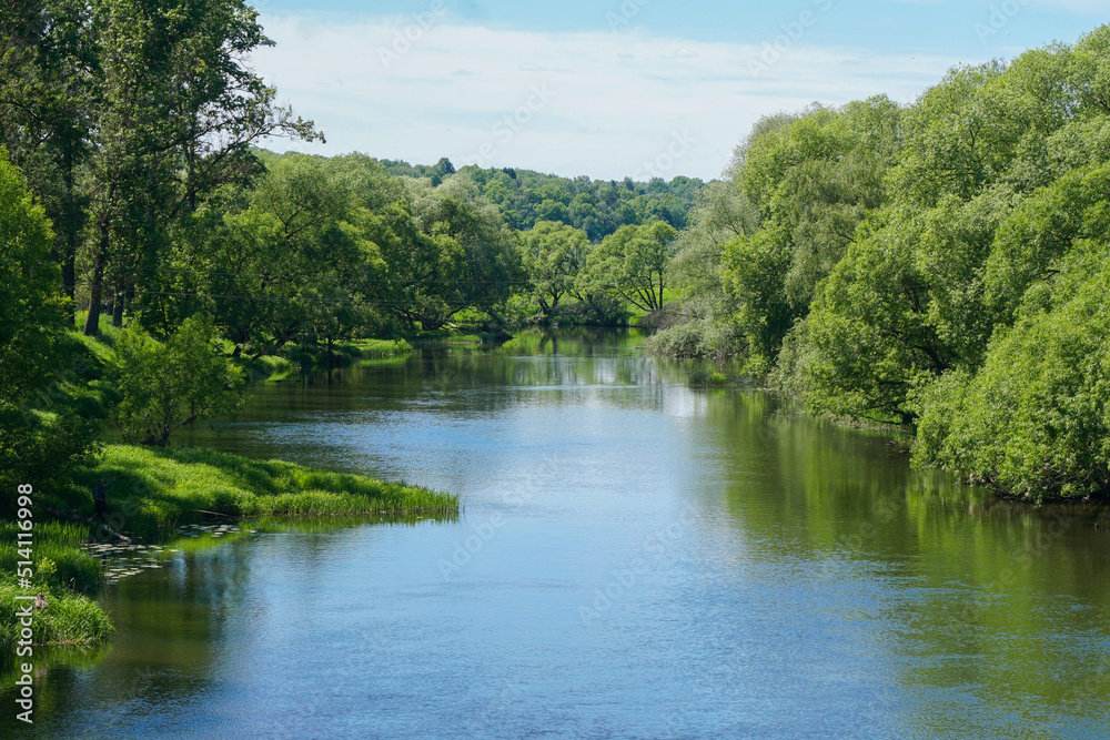 Beautiful view of the river in the forest. Summer