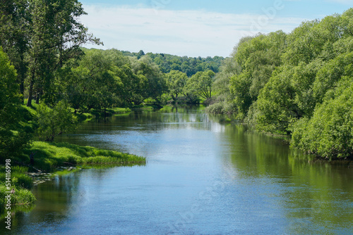 Beautiful view of the river in the forest. Summer