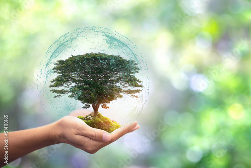 Hand holding globe icon with growing trees and green nature blur background eco concept,copy space for text.