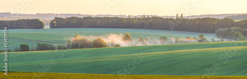 Green fields and hills covered in morning mist