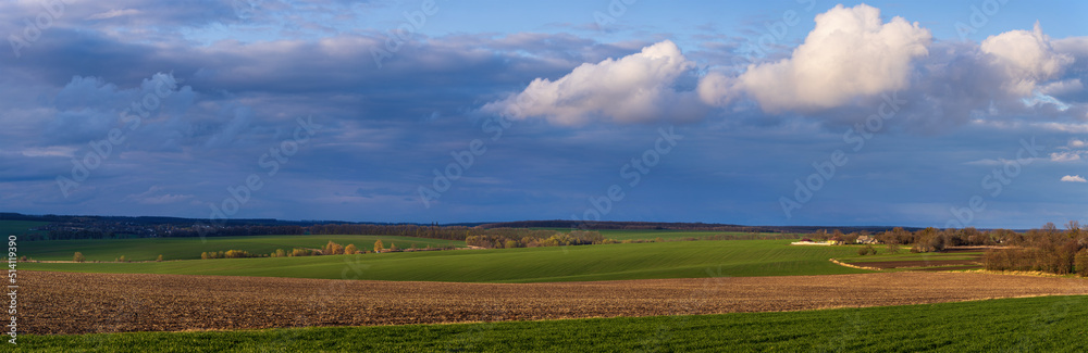Landscape view of green fields with wheat in Ukraine	
