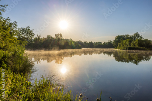 Beautiful lake with reeds in Ukraine