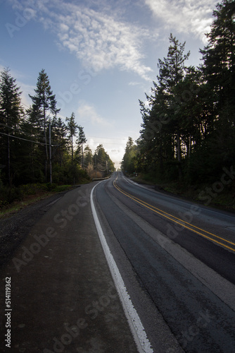 road in the forest © Ryan