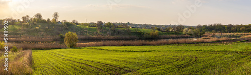 Foto Rural green agricultural fields and hills in Ukraine