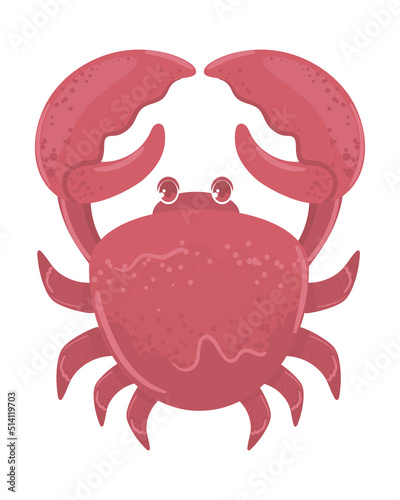 crab sea life