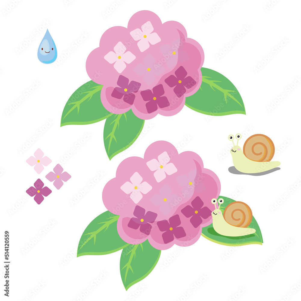 6月あじさいとカタツムリ 6月あじさいとカタツムリ