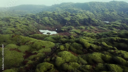 Misty green moss covered lava field, Birds eye view drone view - low cloud Eldhraun, Iceland photo