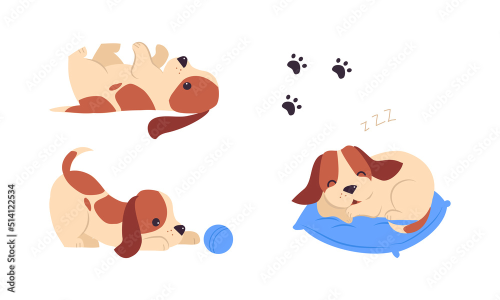 Obraz premium Jack Russell Terrier Puppy with Brown Spots Sleeping on Pillow and Playing with Ball Vector Set