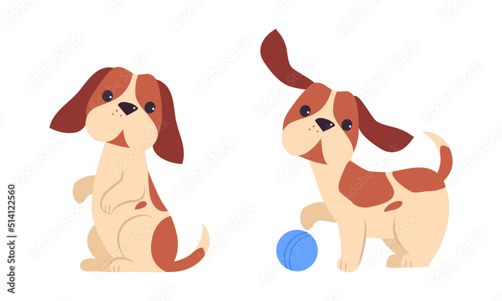 Jack Russell Terrier Puppy with Brown Spots Sitting on Hind Legs and Playing Ball Vector Set Jack Russell Terrier Puppy with Brown Spots Sitting on Hind Legs and Playing Ball Vector Set