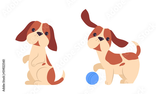 Jack Russell Terrier Puppy with Brown Spots Sitting on Hind Legs and Playing Ball Vector Set