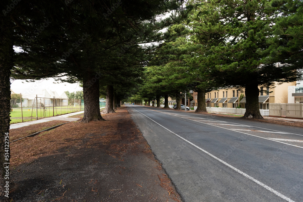 Obraz premium street