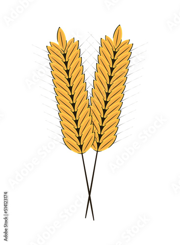 wheat spikes icon
