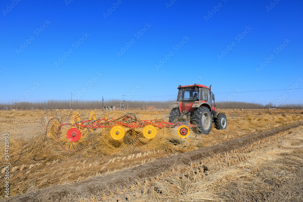 Fototapeta premium Farmers use a disc rake to collect straw in the field, North China