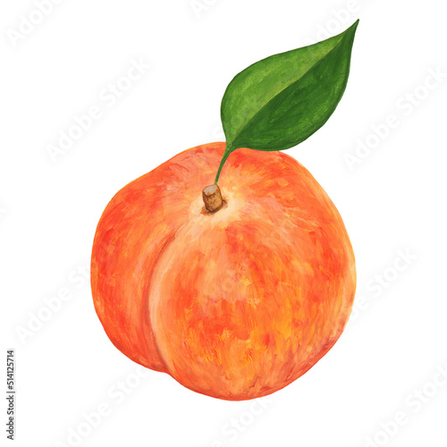whole ripe peach with stalk and leaf - hand drawn, realistic drawing isolated on white