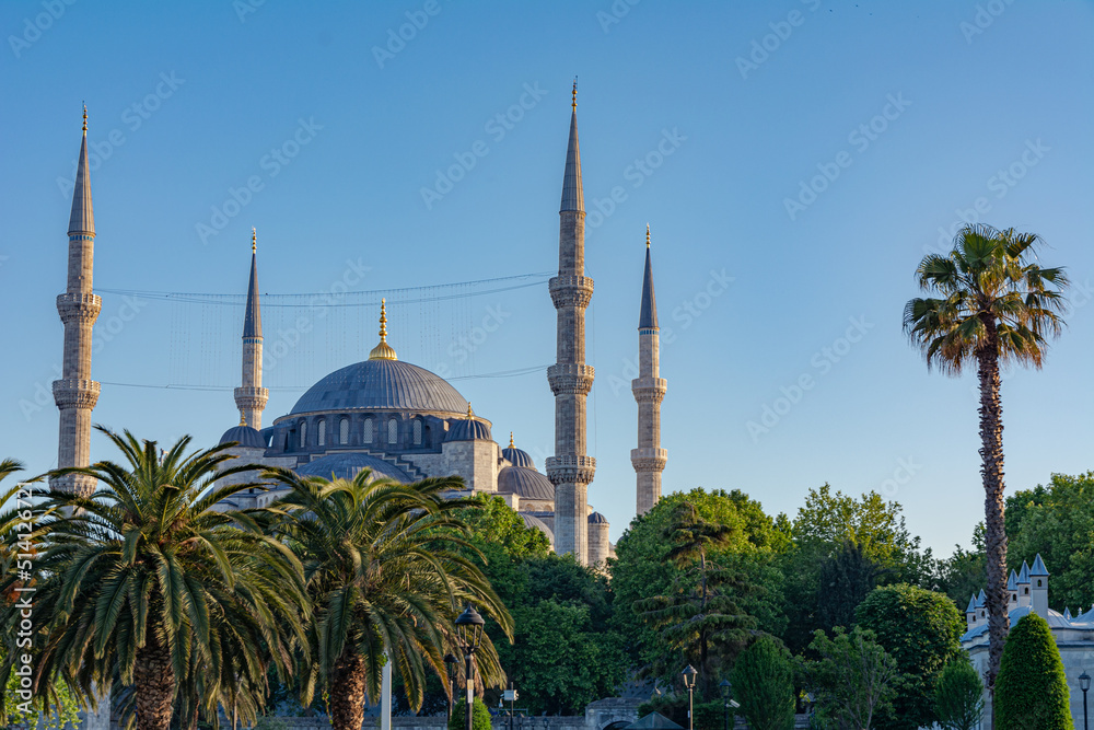 Naklejka premium The Blue Mosque, Sultanahmet Camii, Istanbul, Turkey