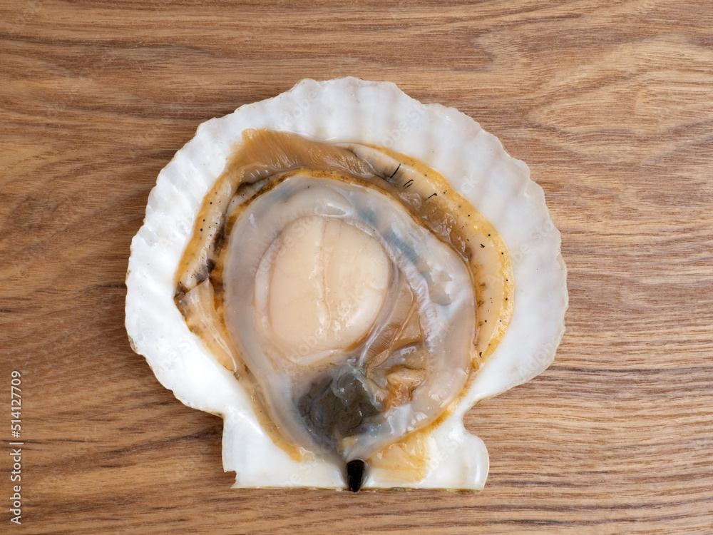 殻を開けた活けホタテ