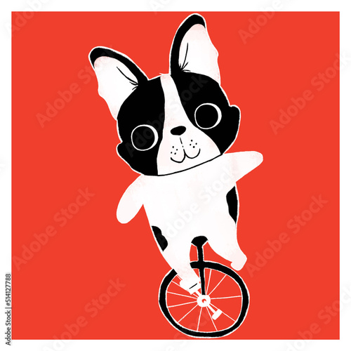 Cute boston terrier illustration is a perfect for people who loves dog. Adorable Boston Terrier dog. Design for t-shirt, card, poster and etc.