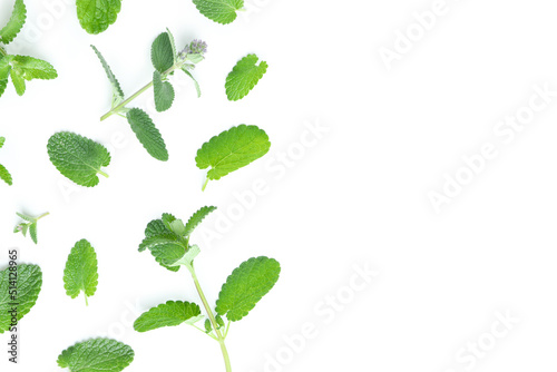 Concept of aromatherapy, mint isolated on white background