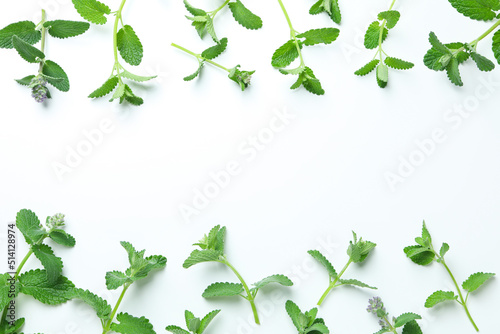 Concept of aromatherapy with mint, space for text