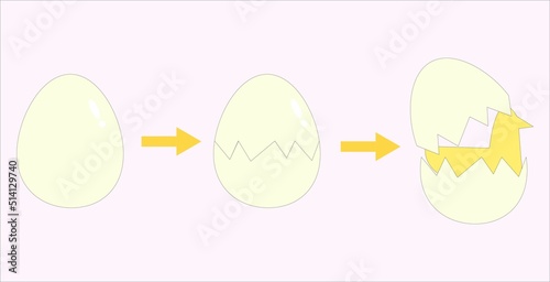Egg hatching three stages line images.