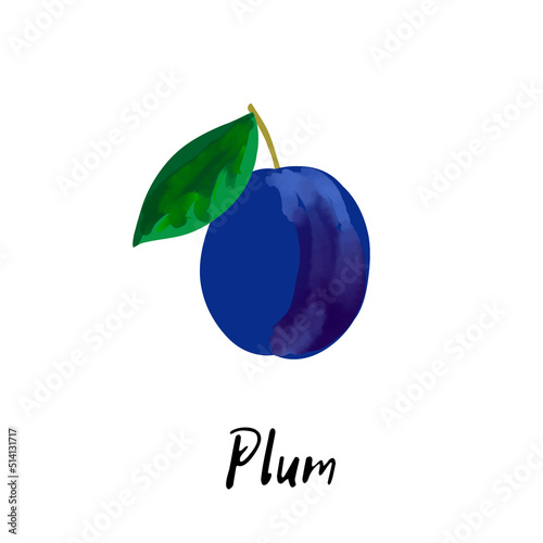 Illustration of a blue plum isolated on a white background