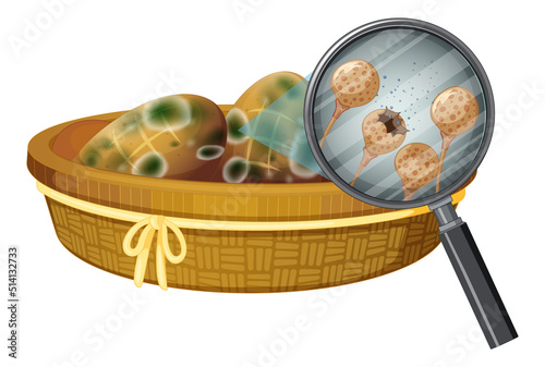 Inedible bread with mould