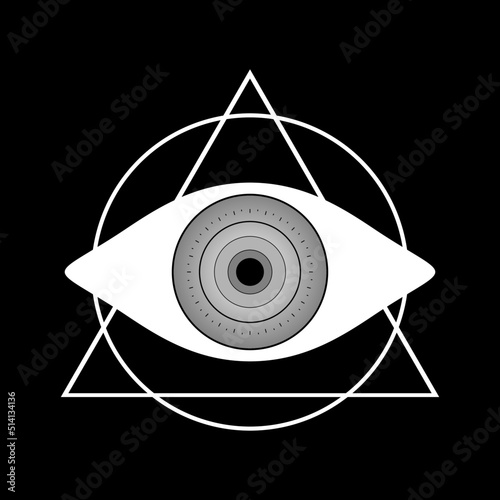 Gray eye of providence (All seeing eye) with triangle and circle mystical boho flat vector design.
