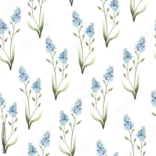 Watercolor seamless floral pattern with forget-me-not isolated on white.
