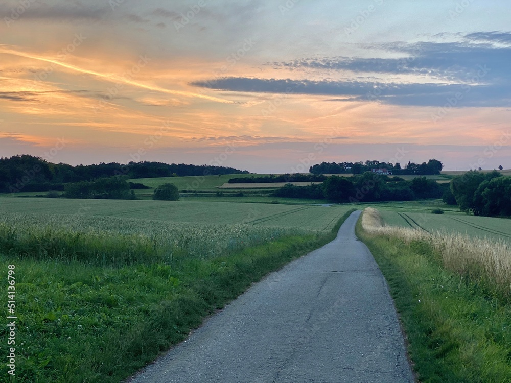 Landstraße führt zu einer Baumgruppe am  Horizont und trennt Getreidefeld. Schöner Abendhimmel, orange und blau