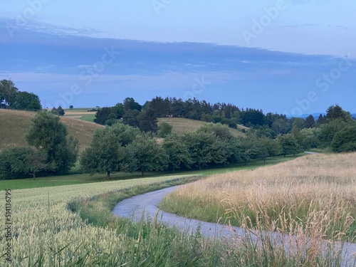 Schmaler Asphaltweg schlängelt sich durch hohe Wiese und Getreidefeld. Im Horizot brauner Hügel mit Bäumen, Abendstimmung photo