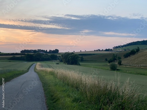 Landstraße führt zu einer Baumgruppe am Horizont und trennt Getreidefeld. Sonnenuntergang