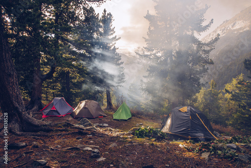 Camping tents in forest. Tourism concept, outdoors leisure. Life in a tent. Pine trees grove camping place stock photo
