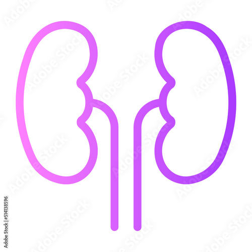 kidney gradient icon