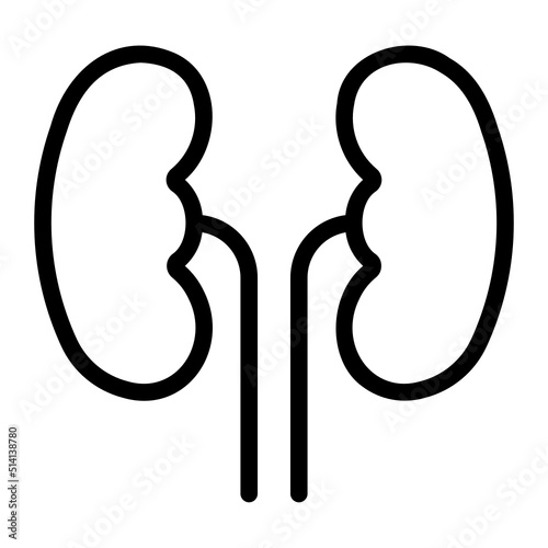 kidney line icon