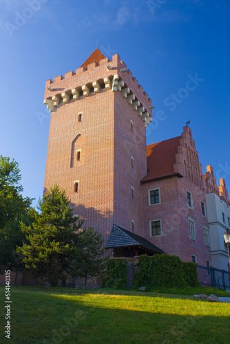 Royal Castle in Poznan, Poland 