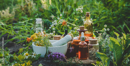 Medicinal herbs and tinctures alternative medicine. Selective focus. photo