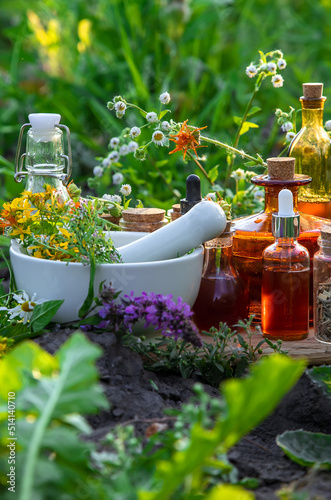 Konstfotografi Medicinal herbs and tinctures alternative medicine