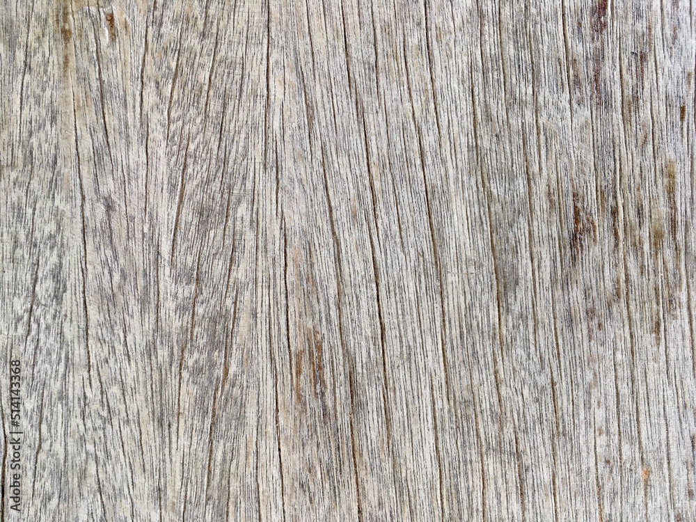 wood texture wood texture