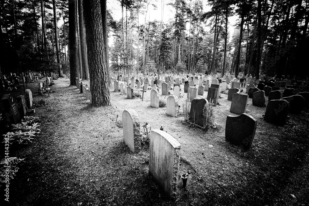 Fotografie Old film noir graveyard