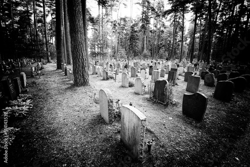 Canvas Print Old film noir graveyard