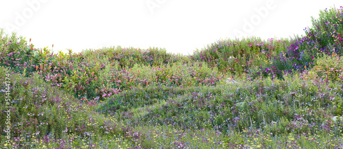 Fototapeta Naklejka Na Ścianę i Meble -  3d render field hill Grass and flowers on a white background