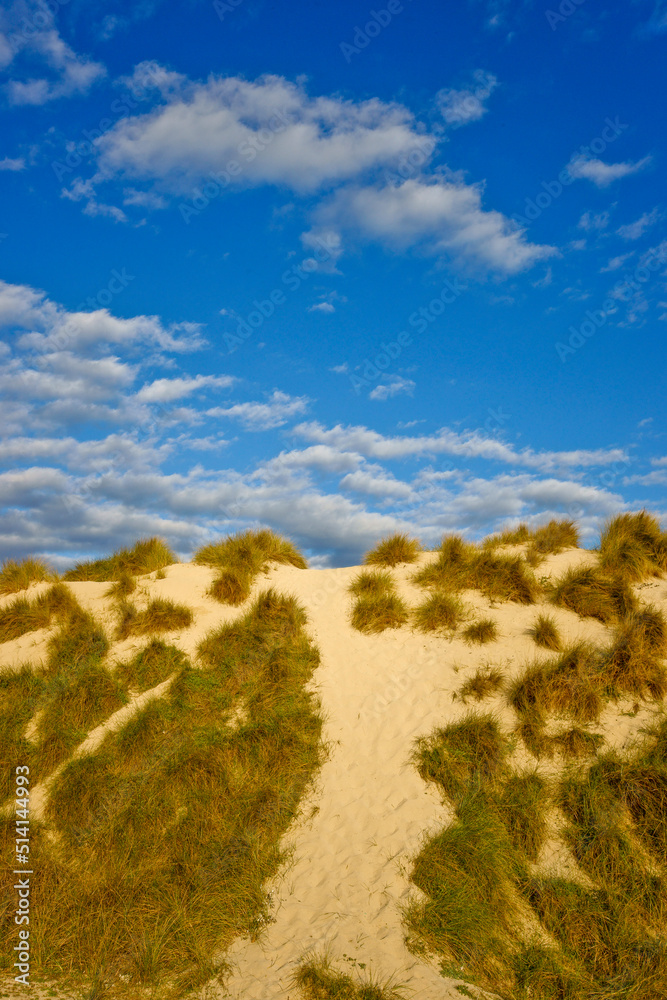 Fototapeta premium Complejo dunar.Cala Mesquida.Península de Llevant.Arta.Mallorca.Islas Baleares. España.
